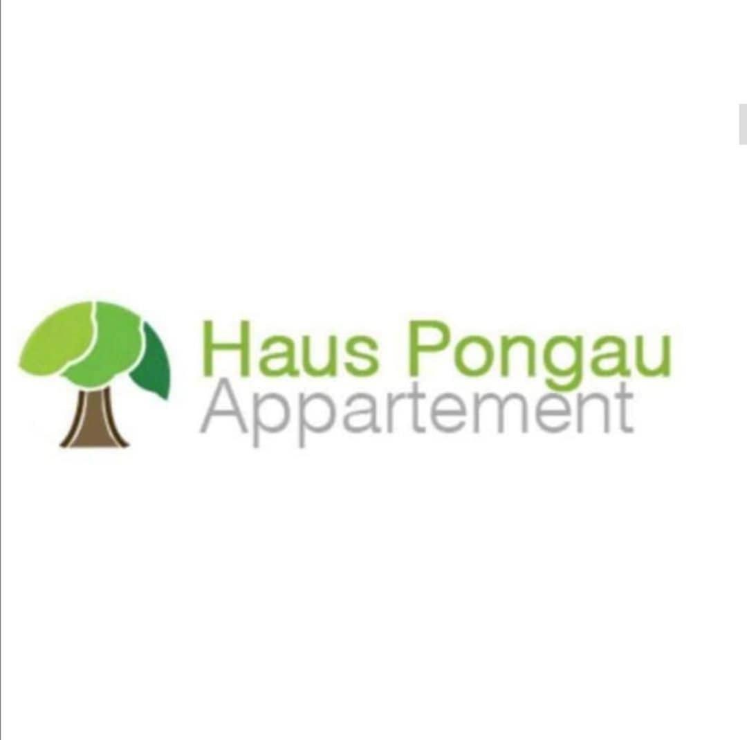 Căn hộ Haus-pongau *